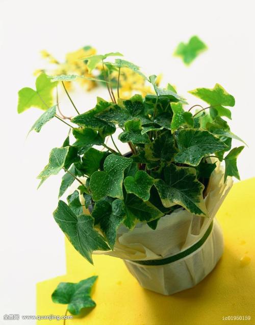 ծͳһϢ¶ծҪ˵顱